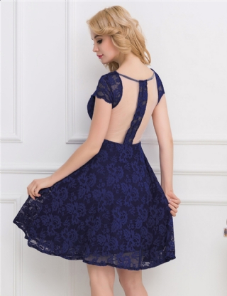 Lace Round Neck Elegant Blue Bodycon Dress