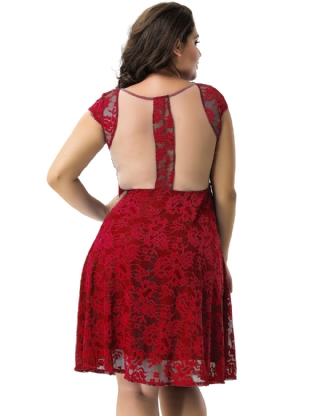 Plus Size Lace Elegant Round Neck Red Bodycon Dress