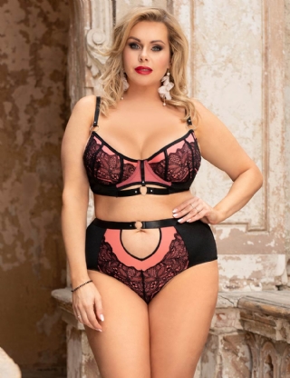 Plus Size Pink Exquisite Sexy Lace Splice Bra Set With Underwire