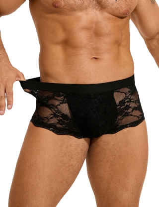 Black Sexy Lace See Through Men Underwear