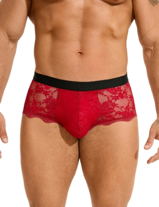 Burgundy Sexy Lace See Through Men Underwear