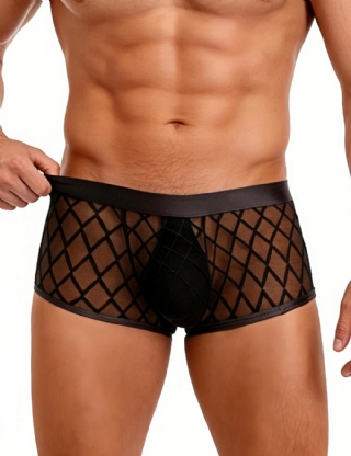 Mens Sexy Sheer Black Boxer Underwear