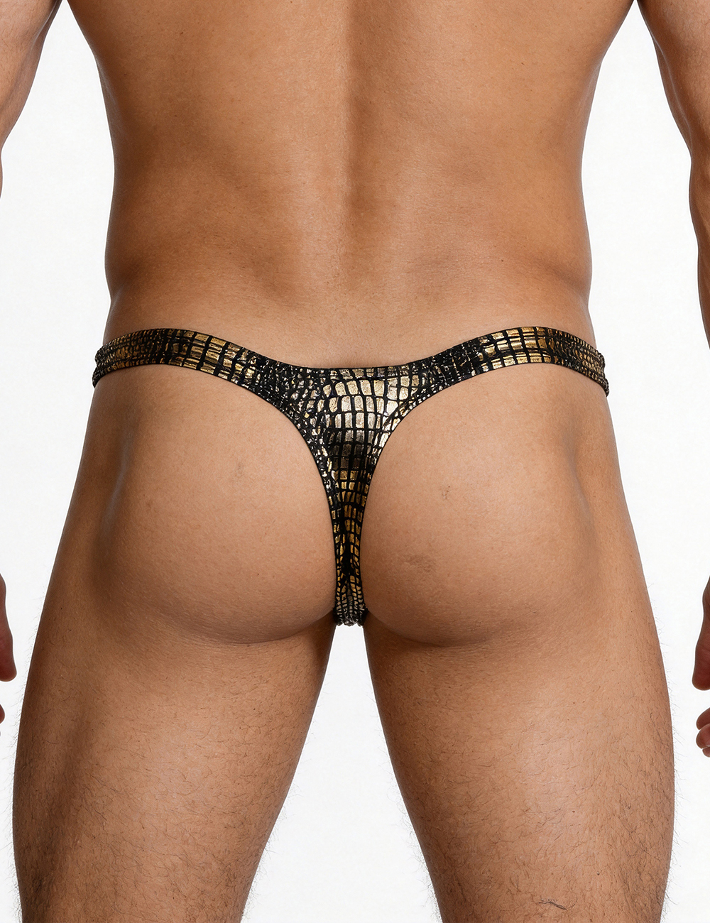 MP231-7 (1).jpg